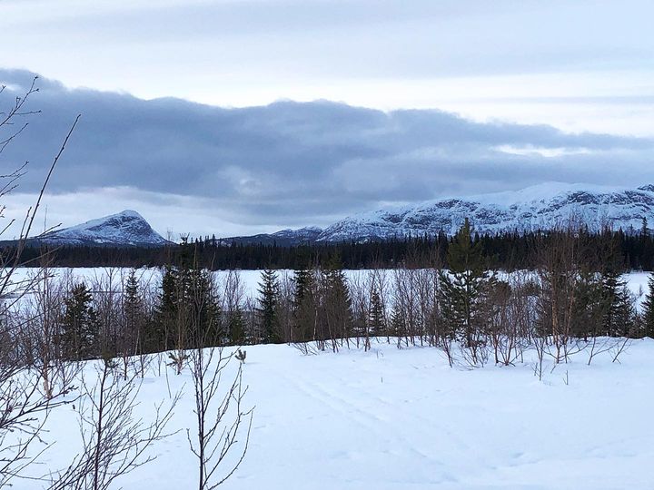 Vinter i Kultsjödalen